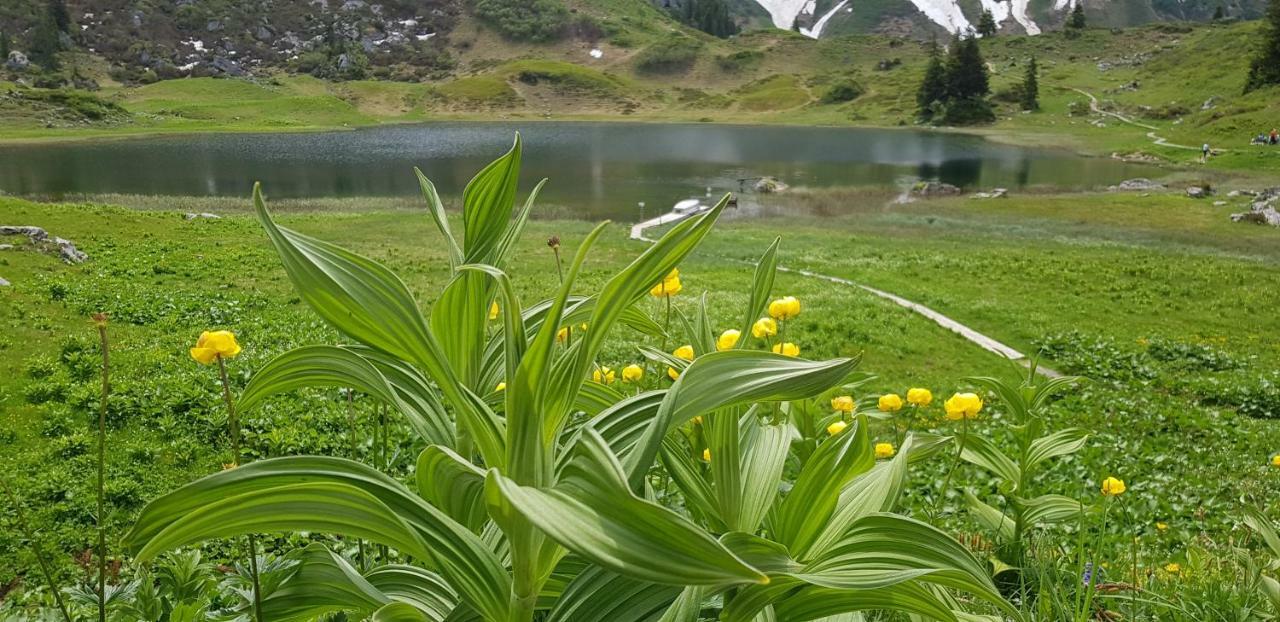 Residenz Tirol Leilighet Lechleiten Eksteriør bilde