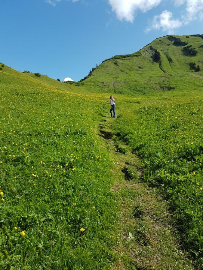 Residenz Tirol Leilighet Lechleiten Eksteriør bilde